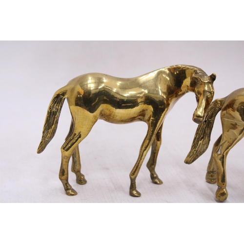 116 - A PAIR OF BRASS HORSES