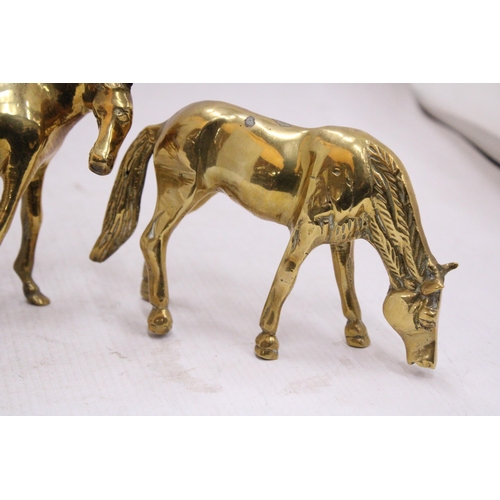 116 - A PAIR OF BRASS HORSES