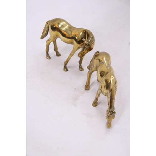 116 - A PAIR OF BRASS HORSES