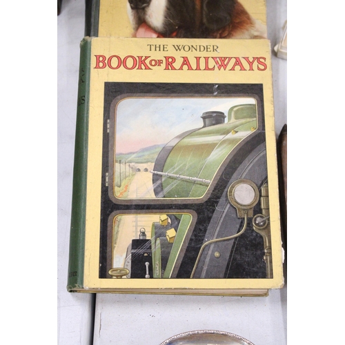 28 - THREE VINTAGE 'THE WONDER' BOOKS TO INCLUDE ANIMALS, RAILWAYS AND SOLDIERS