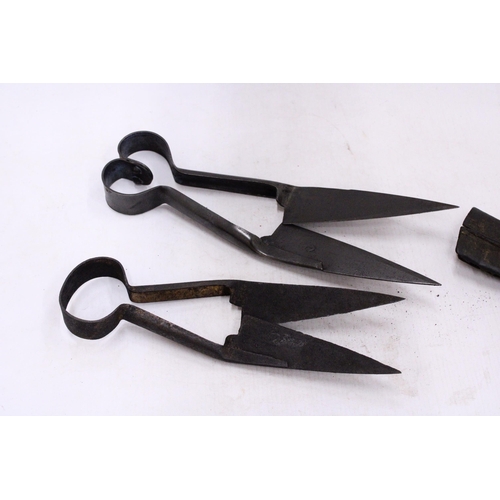 49 - TWO VINTAGE PAIRS OF SHEEP 'DAGGING' SHEARS TO INCLUDE JOHN GUY AND CO, SHEFFIELD