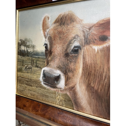 1540 - A SMALL FRAMED EDNA BIZON JERSEY COW CANVAS