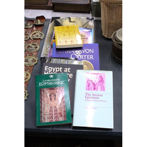 909 - A QUANTITY OF BOOKS RELATING TO EGYPTOLOGY