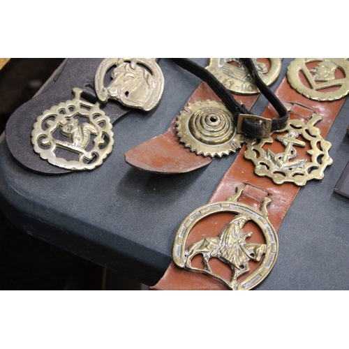 910 - A QUANTITY OF VINTAGE HORSE BRASSES ON MARTINGALES