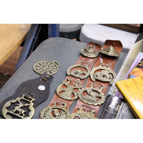 910 - A QUANTITY OF VINTAGE HORSE BRASSES ON MARTINGALES