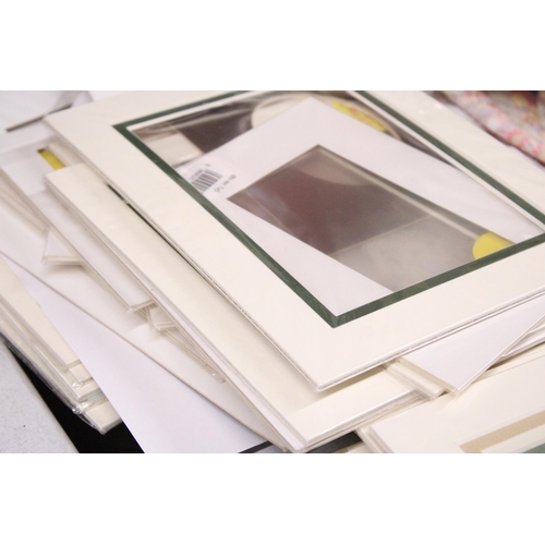 1038 - A QUANTITY OF CARDBOARD MOUNTS FOR PICTURES, MAINLY AS NEW IN PACKAGING