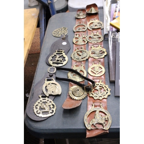 910 - A QUANTITY OF VINTAGE HORSE BRASSES ON MARTINGALES