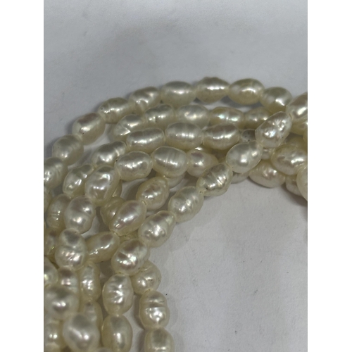 566 - A SEED PEARL BRACELET WITH A SILVER GILT CLASP