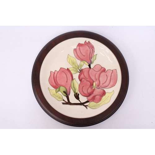 752 - A FRAMED MOORCROFT PLATE MAGNOLIA PATTERN - 30 CM TO INCLUDE THE FRAME