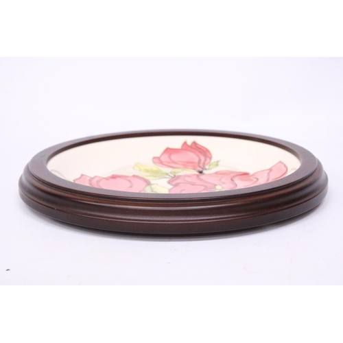 752 - A FRAMED MOORCROFT PLATE MAGNOLIA PATTERN - 30 CM TO INCLUDE THE FRAME