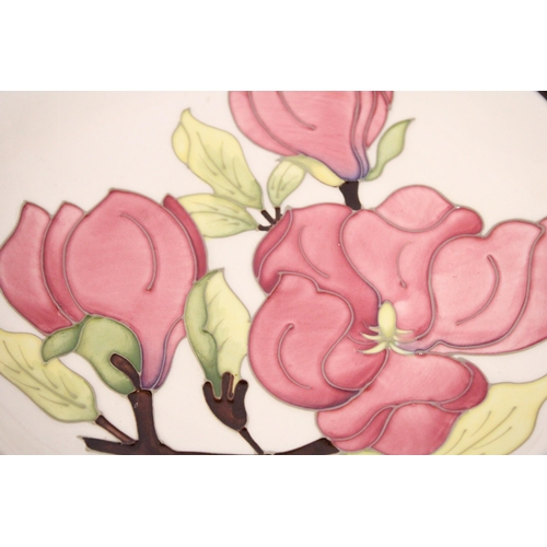 752 - A FRAMED MOORCROFT PLATE MAGNOLIA PATTERN - 30 CM TO INCLUDE THE FRAME