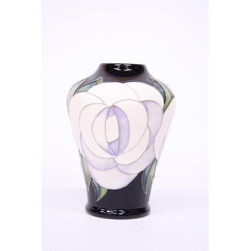 754 - A MOORCROFT WHITE ROSE VASE - 11.5 CM