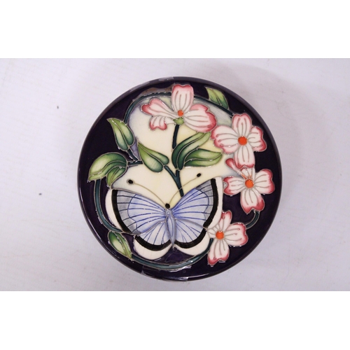 755 - A MOORCROFT CIRCULAR LIDDED POT BLUE GARDIANS - SIGNED K. GOODWIN - 10.5 CM (W) 5.5 CM (H)