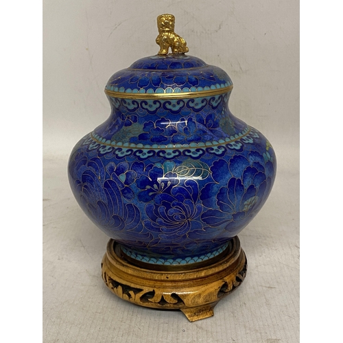 302 - A CHINESE CLOISONNE BRASS AND ENAMEL GINGER JAR WITH CHRYSANTHEUM AND BUTTERFLY DESIGN IN PREDOMINAN... 