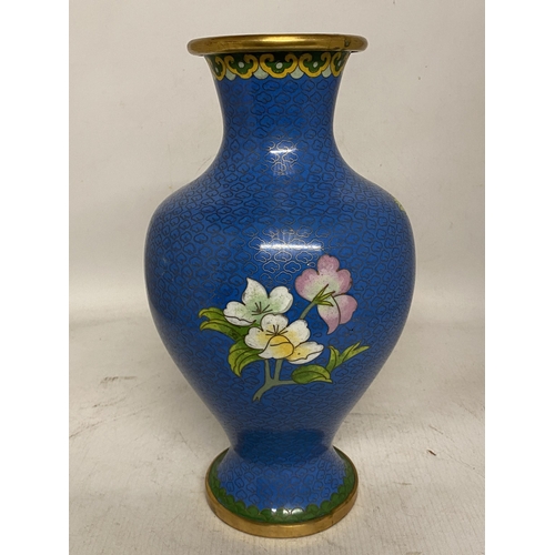 304 - A LARGE CLOISONNE ENAMELLED BALUSTER VASE DECORATED WITH CHRYSANTHEMUM FLOWERS, GREEN FOILAGE AND BU... 