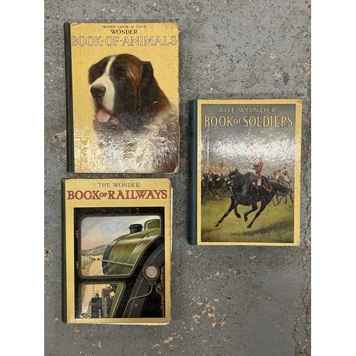 198 - THREE VINTAGE 'THE WONDER' BOOKS TO INCLUDE ANIMALS, RAILWAYS AND SOLDIERS