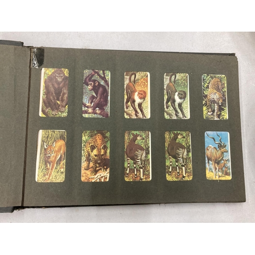 253 - A VINTAGE CIGARETTE CARD ALBUM WITH CARDS