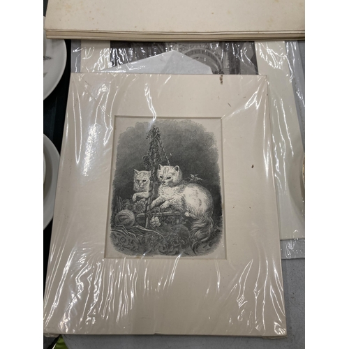 273 - A QUANTITY OF PRINTS TO INCLUDE LOUIS WAIN FRAMED AND GLAZED, A COLLECTION OF GERMAN PRINTS DUFFELDO... 