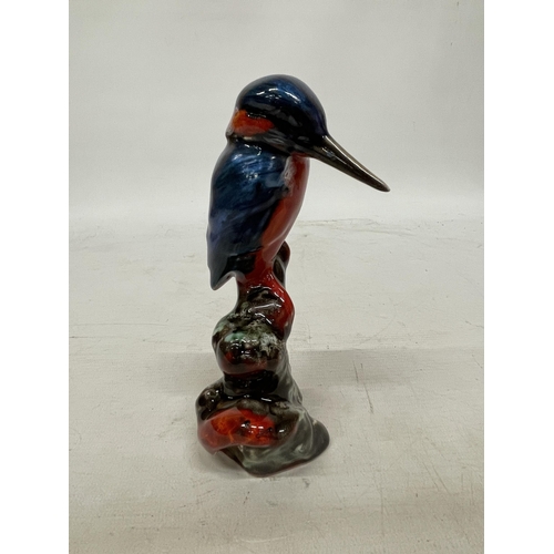 702 - AN ANITA HARRIS KINGFISHER SIGNED IN GOLD