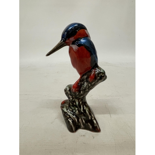 702 - AN ANITA HARRIS KINGFISHER SIGNED IN GOLD