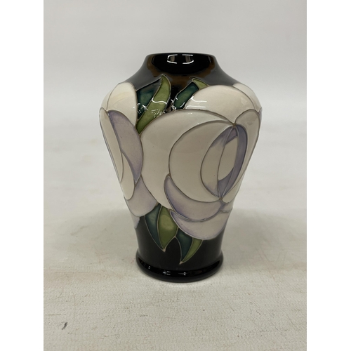 719 - A MOORCROFT WHITE ROSE VASE - 11.5 CM