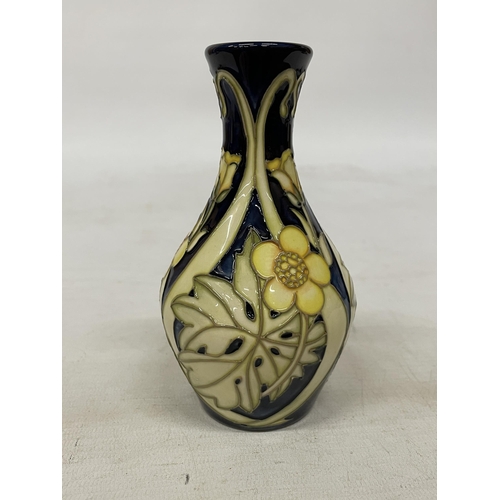 720 - A MOORCROFT BUTTERCUP MEADOW VASE - 14 CM