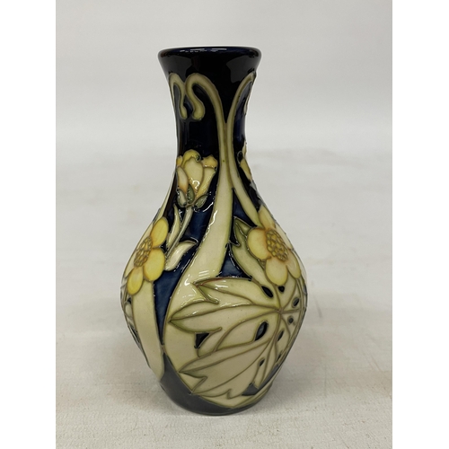 720 - A MOORCROFT BUTTERCUP MEADOW VASE - 14 CM