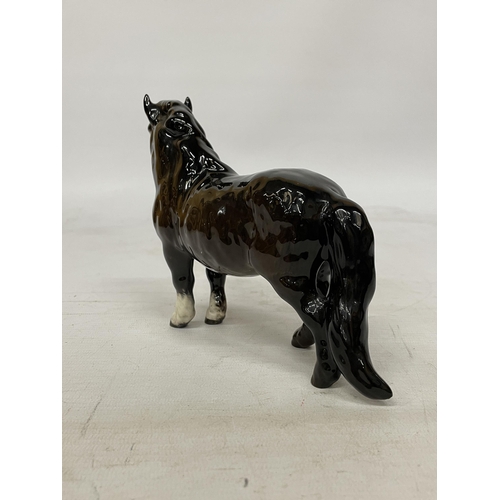 736 - A BESWICK FIGURE OF A SHETLAND PONY