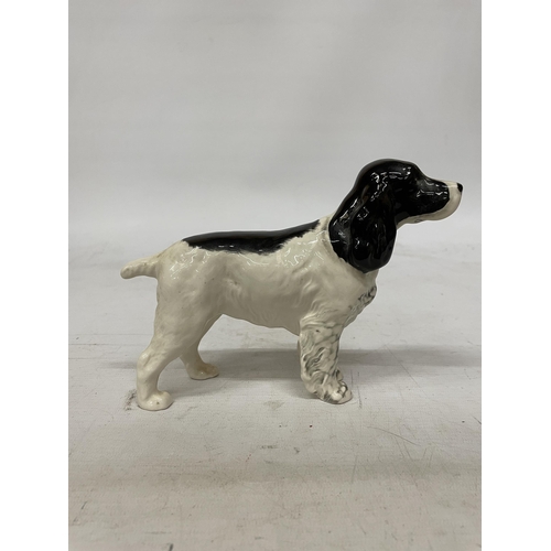 740 - A BESWICK GLAZED FIGURE OF A SPRINGER SPANIEL DOG