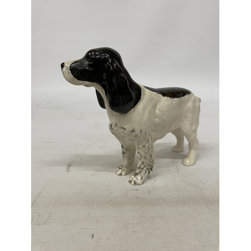 740 - A BESWICK GLAZED FIGURE OF A SPRINGER SPANIEL DOG