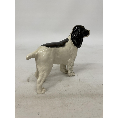 740 - A BESWICK GLAZED FIGURE OF A SPRINGER SPANIEL DOG