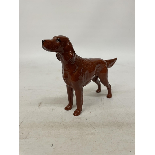 741 - A VINTAGE BESWICK GLAZED FIGURE OF AN IRISH SETTER