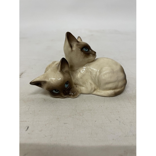 743 - A BESWICK FIGURE OF TWO SIAMESE KITTENS