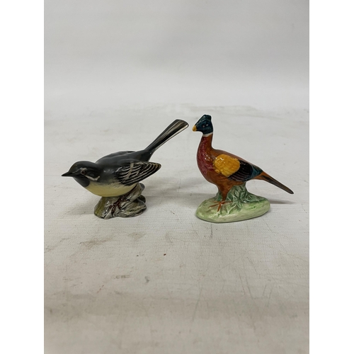 744 - ELEVEN BESWICK BIRDS TO INCLUDE A GOLDFINCH, WHITETHROAT, GREY WAGTAIL, BULLFINCH, ETC.,