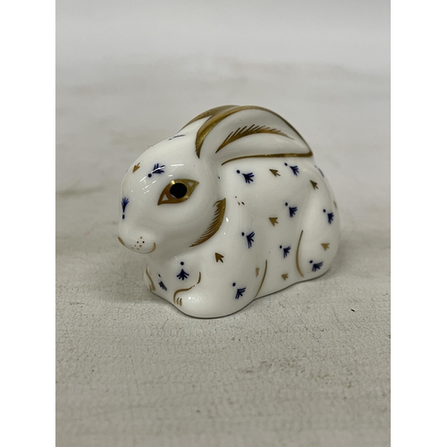 746 - A ROYAL CROWN DERBY RABBIT (FIRSTS)