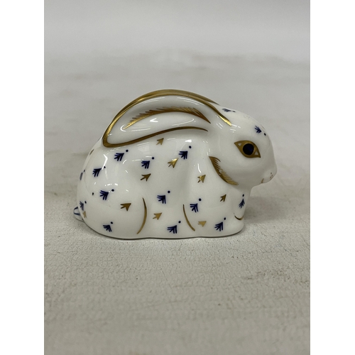 746 - A ROYAL CROWN DERBY RABBIT (FIRSTS)