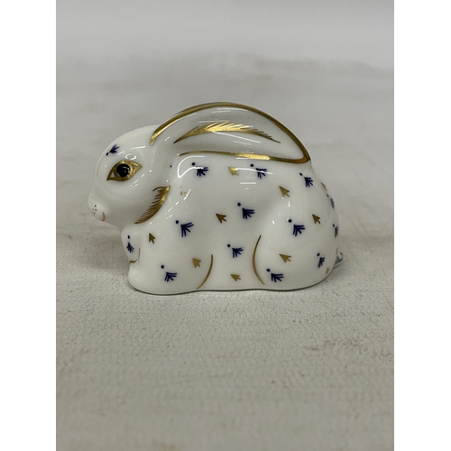 746 - A ROYAL CROWN DERBY RABBIT (FIRSTS)