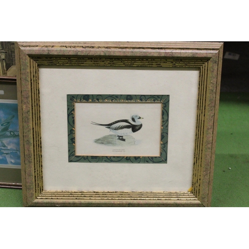 947 - FOUR FRAMED PRINTS TO INCLUDE A DUCK, FIGHTER PLANE, RURAL SCENES, ETC