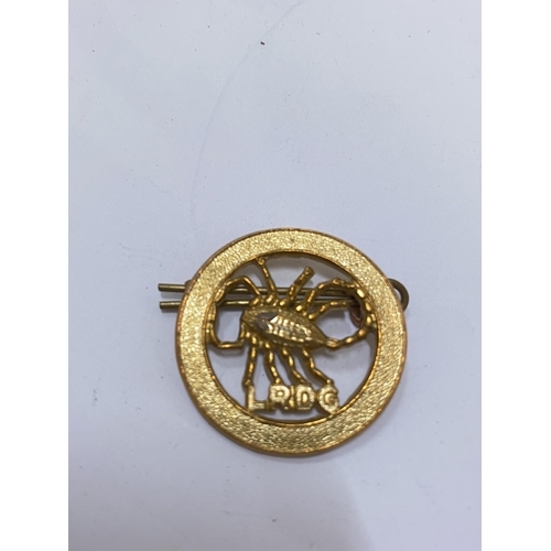 242 - A LONG RANGE DESSERT GROUP CAP BADGE