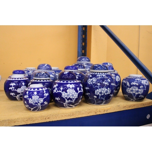 332A - A LARGE QUANTITY (15 IN TOTAL) OF CHINESE BLUE AND WHITE PRUNUS BLOSSOM GINGER JARS WITH DOUBLE RING... 