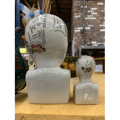 447 - TWO DECORATIVE PHRENOLOGY HEADS APPROX 28CM AND 15CM HEIGHT