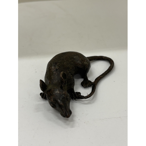 9 - A BRONZE CHINESE RAT, HEIGHT 2.5CM, LENGTH 8CM