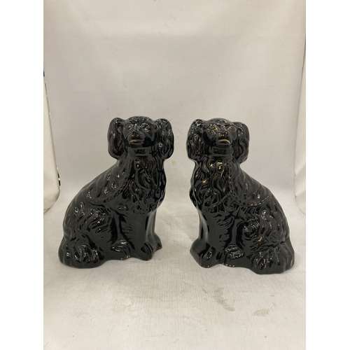 101 - A PAIR OF BLACK STAFFORDSHIRE JACKFIELD STYLE SPANIEL FIGURES - 24.5 CM