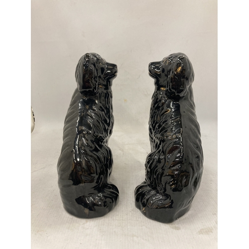 101 - A PAIR OF BLACK STAFFORDSHIRE JACKFIELD STYLE SPANIEL FIGURES - 24.5 CM