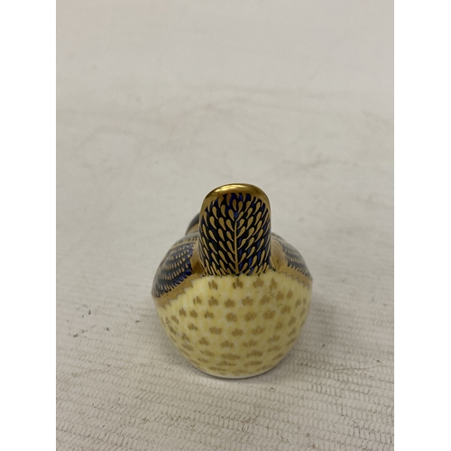 712 - A ROYAL CROWN DERBY BLUE TIT WITH GOLD COLOURED STOPPER