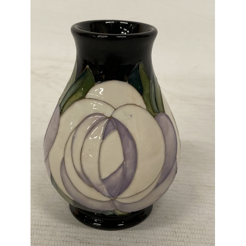 718 - A MOORCROFT WHITE ROSE VASE 11CM TALL