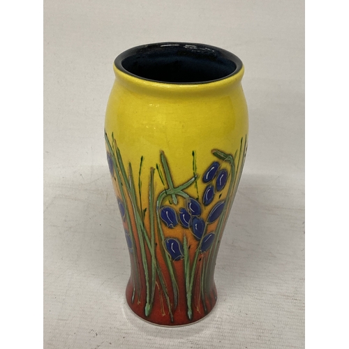 721 - AN ANITA HARRIS HAND PAINTED AND SIGNED IN GOLD BLUEBELL VASE