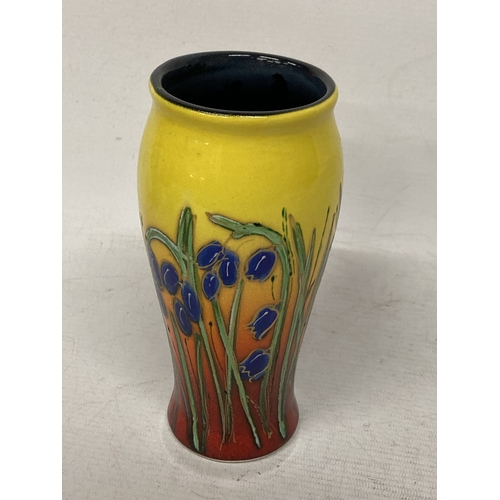 721 - AN ANITA HARRIS HAND PAINTED AND SIGNED IN GOLD BLUEBELL VASE