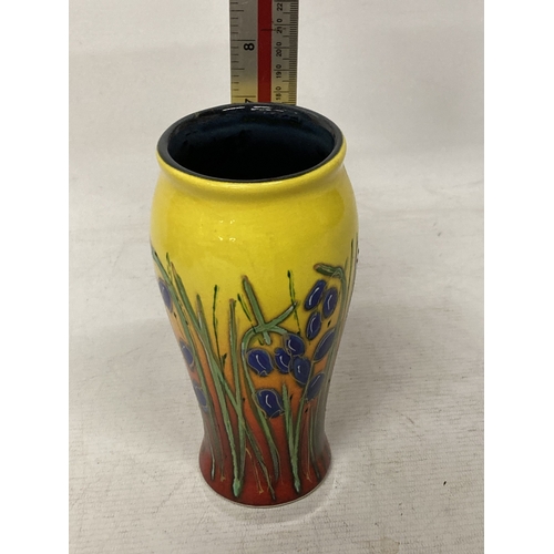 721 - AN ANITA HARRIS HAND PAINTED AND SIGNED IN GOLD BLUEBELL VASE