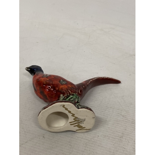 729 - AN ANITA HARRIS HAND PAINTED AND SIGNED IN GOLD PHEASANT